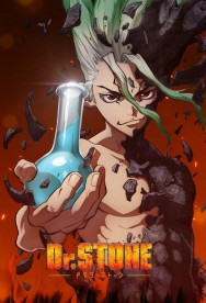 Dr. Stone