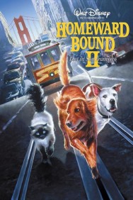 Homeward Bound II: Lost in San Francisco