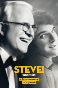 STEVE! (martin) a documentary in 2 pieces